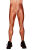 LM10 Men Leggings - Z166 DreamSpandex GOLD