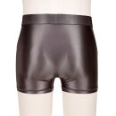 LM12 Herren Boxer - Z166 DreamSpandex GRAPHIT