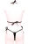 KL12 Ladies set bikini - GlossySpandex